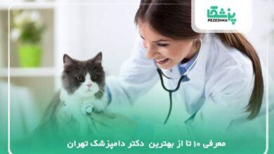 معرفی بهترین دکتر دامپزشک تهران