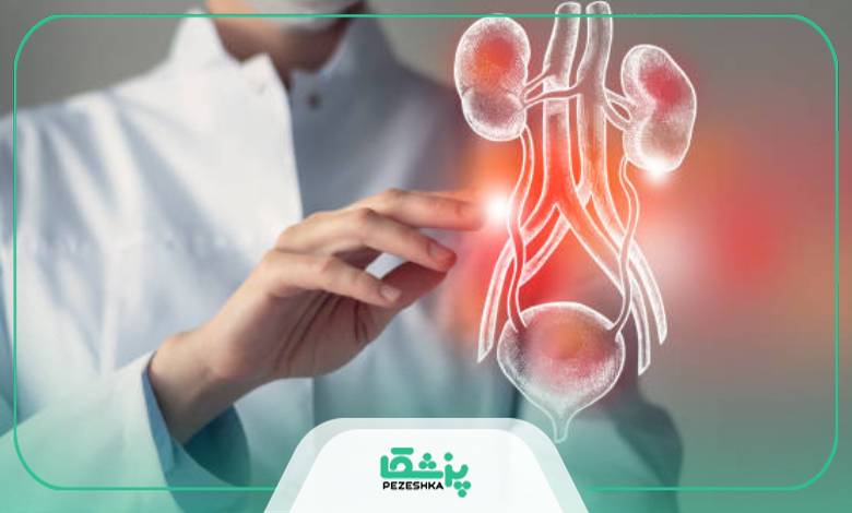 معیارهای انتخاب بهترین دکتر اورولوژی در شیراز از نظر وبسایت پزشکا
