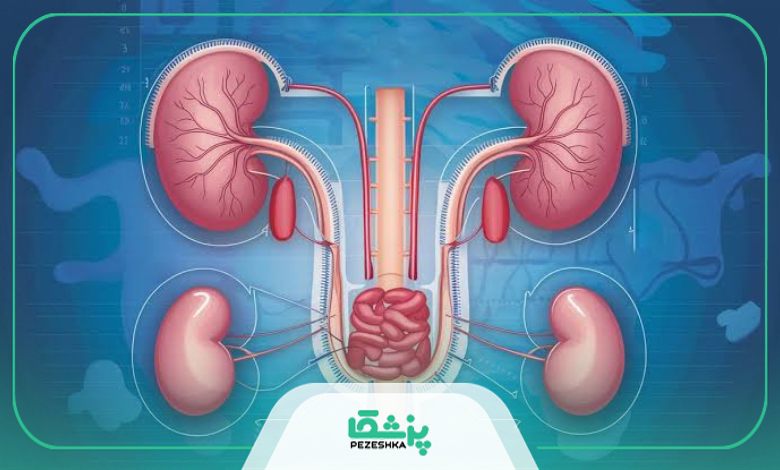 چه زمانی نزد متخصص اورولوژی بریم؟