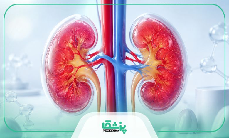 دکتر کلیه چگونه از شدت و نوع بیماری مطلع می شود؟