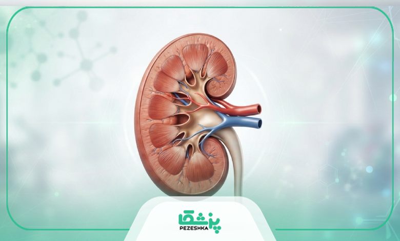بهترین سن برای مراجعه به بهترین جراح کلیه در ولیعصر