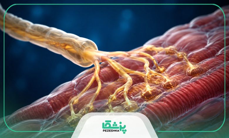 نکات پیش از تست نوار عصب عضله