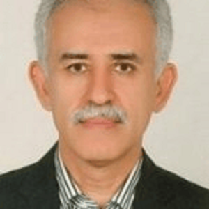 دکتر محمد حسن شلویری
