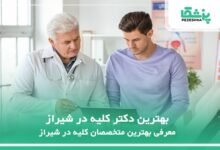 بهترین دکتر کلیه در شیراز