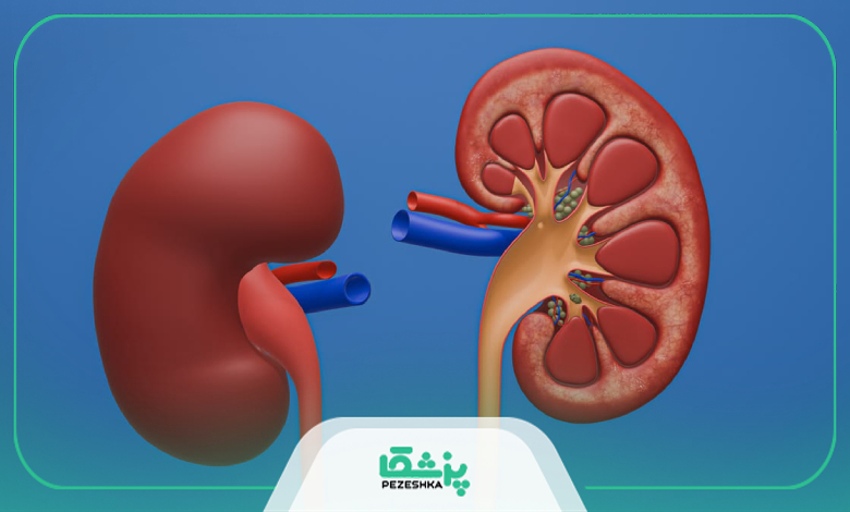 بهترین دکتر کلیه در تهران چه خدماتی ارائه میدهد؟